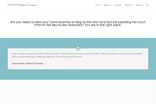 Agency Pro theme site design template sample
