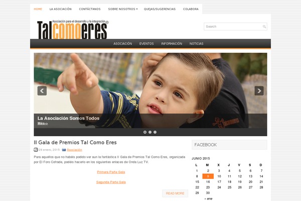 Wpinsurance theme site design template sample
