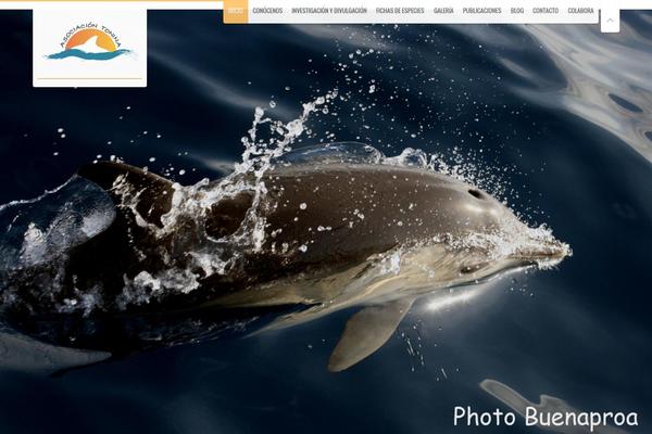 Vernissage theme site design template sample