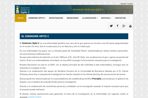 Nexus theme site design template sample