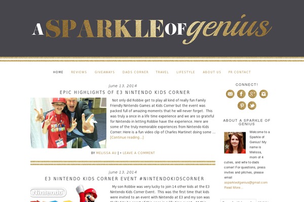 Site using Mediavine-trellis-images plugin