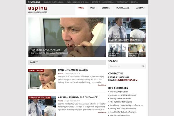 Point theme site design template sample