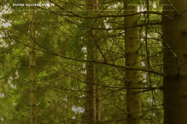 Altitude Pro theme site design template sample