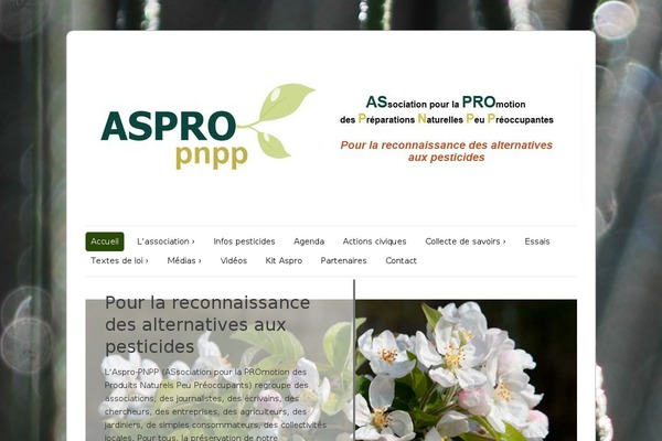 ColorWay theme site design template sample