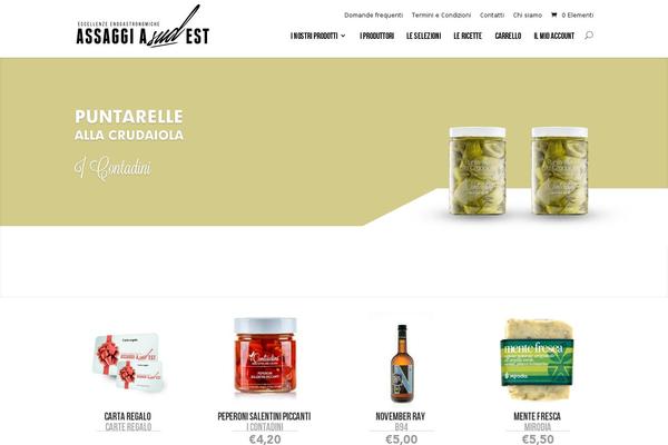 Divi Child theme site design template sample