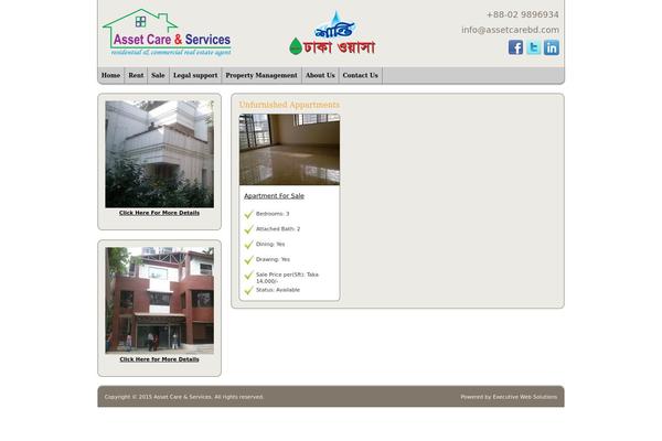 Asset theme websites examples