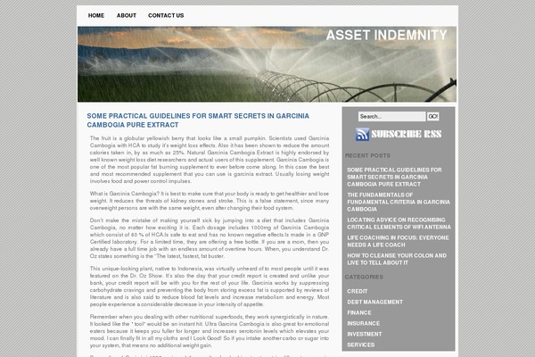 Indore theme site design template sample