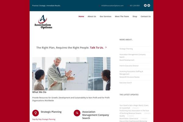 Bigwig theme site design template sample