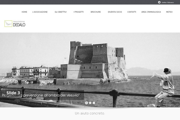 Trymee theme site design template sample
