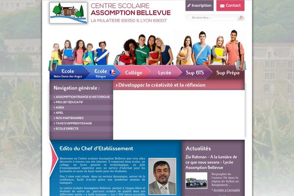 Bellevue theme site design template sample