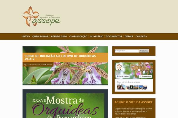 Solon theme site design template sample