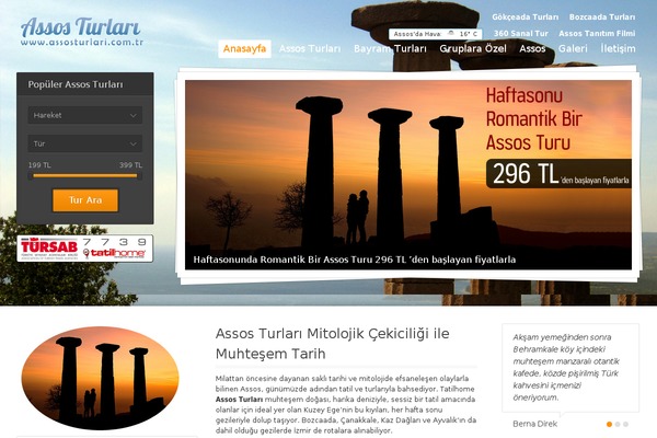 Midway theme site design template sample