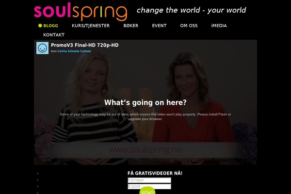 Mts_moneyflow theme site design template sample
