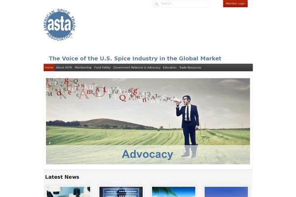 Function theme site design template sample