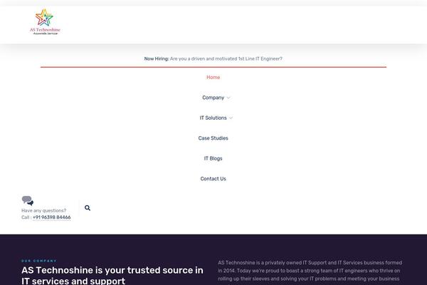 Nanosoft theme site design template sample