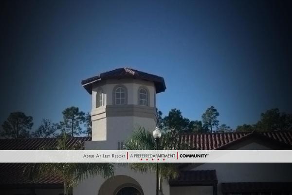 pacTemplate theme websites examples