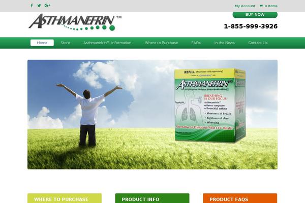 Divi Child theme site design template sample