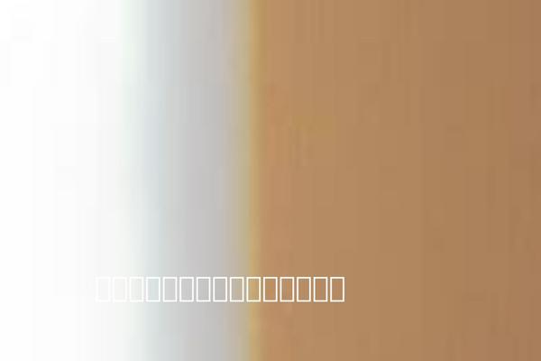 Twenty Seventeen theme site design template sample