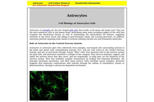 Undiscovered theme site design template sample