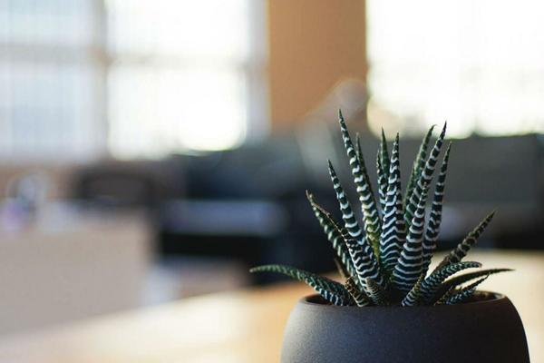 Twenty Seventeen theme site design template sample