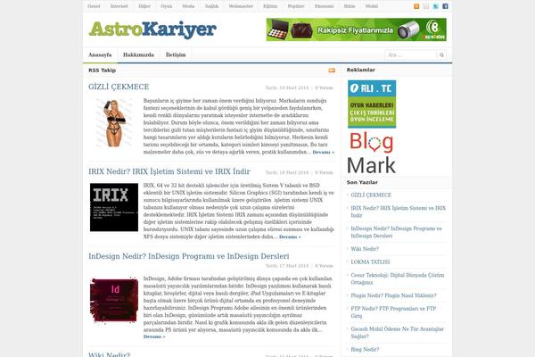 Daily theme site design template sample