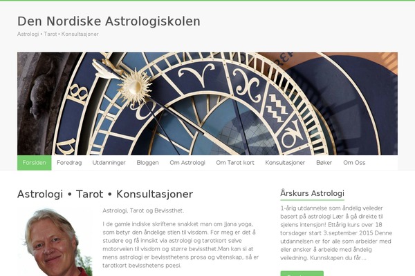 Site using Koko-analytics plugin