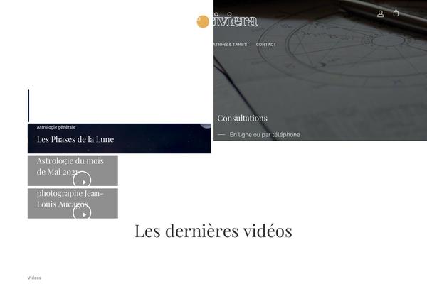 Salient theme site design template sample
