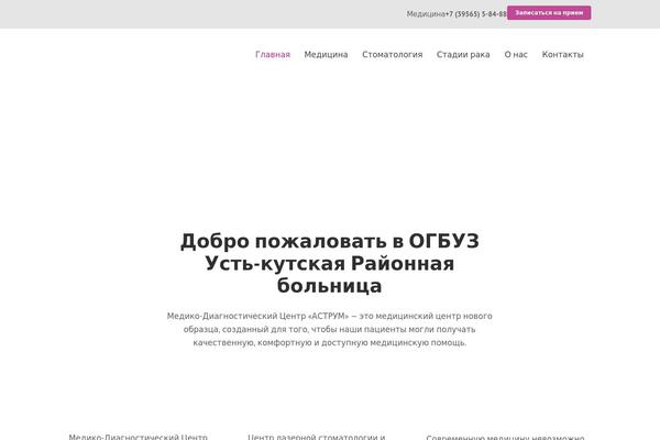 Bridge theme site design template sample