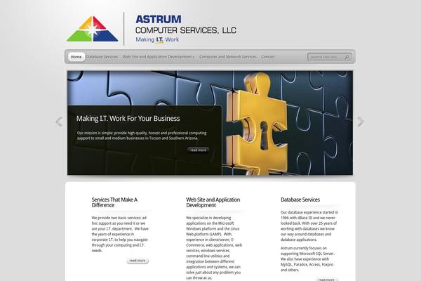 TheProfessional theme site design template sample