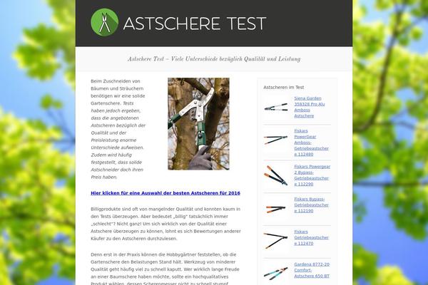 astscheretest.net site used Clearly-child