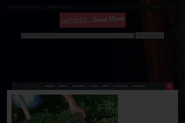 Site using Flying-analytics plugin