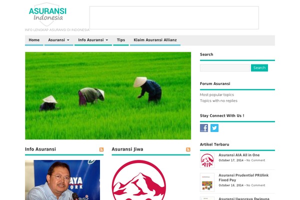 TimesNews theme site design template sample