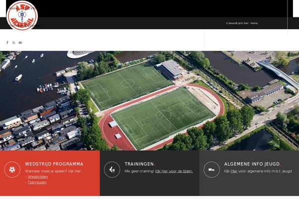 Site using Tdo-mini-forms plugin
