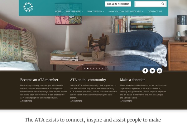 Renew theme site design template sample