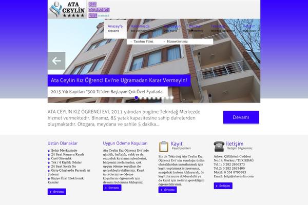 Duotive Two theme site design template sample