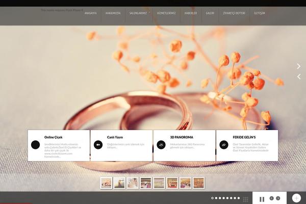 Digon theme site design template sample