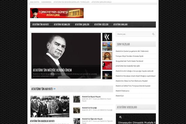 ataturk theme websites examples