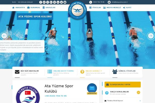 Tema theme site design template sample