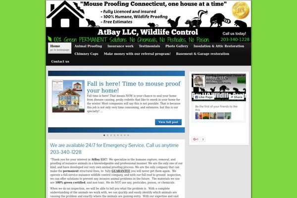 Graphene theme site design template sample