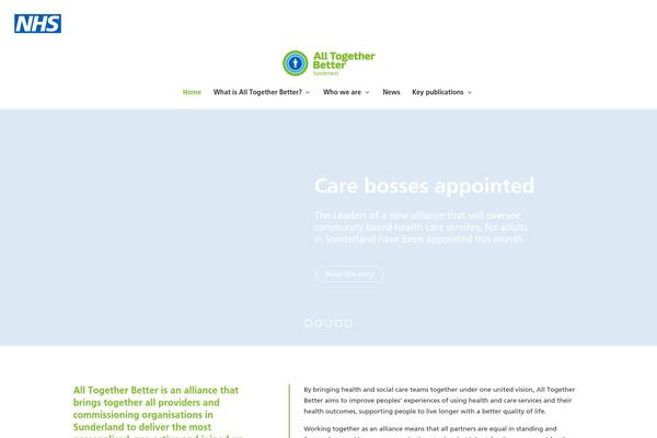 Site using Divi-accessibility-master plugin