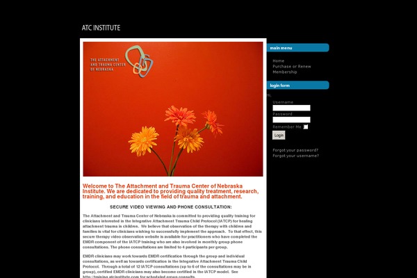 Dazzling theme site design template sample