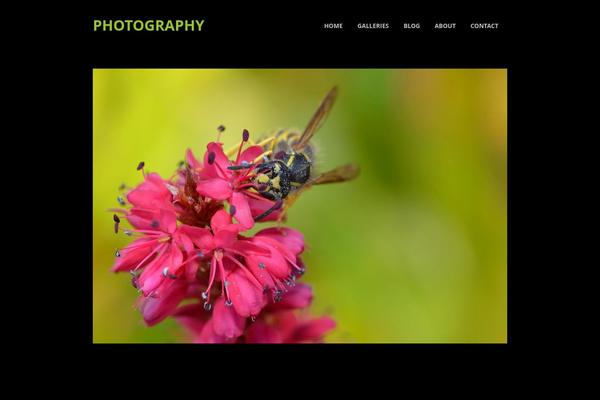 Photocrati theme site design template sample