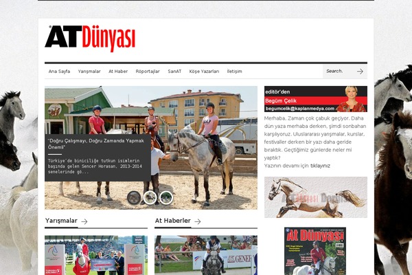 Brennuis theme site design template sample