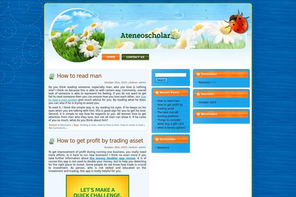 ateneoscholar.com site used Roadryders
