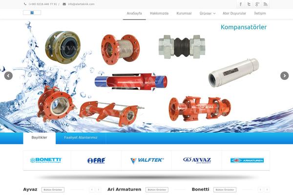 Envision theme site design template sample