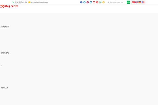 Pusula theme site design template sample