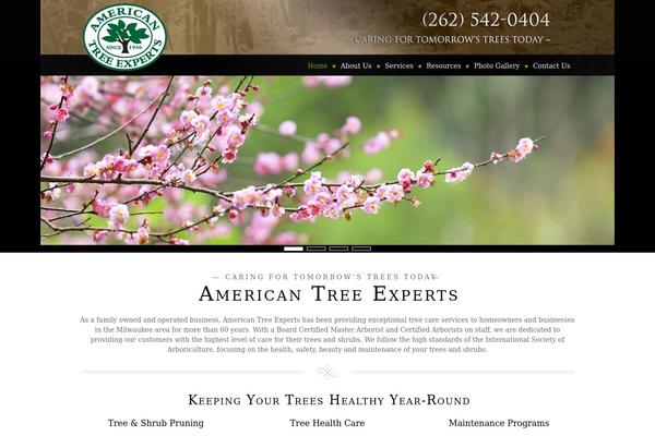 Amadeus theme site design template sample