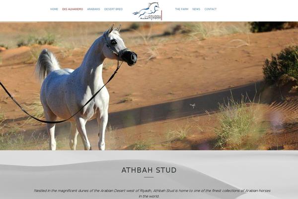 Striking theme site design template sample