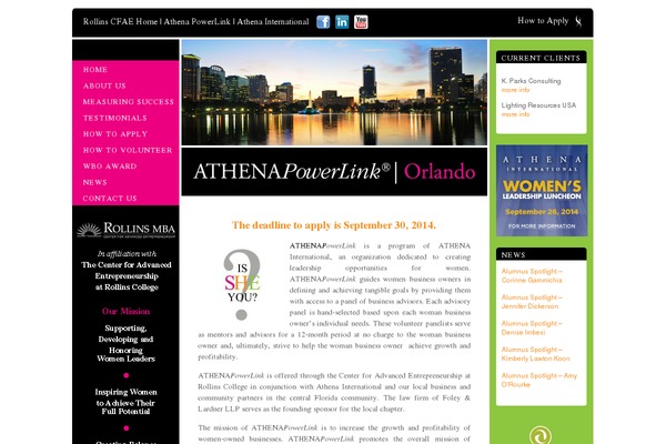 Appleton theme site design template sample