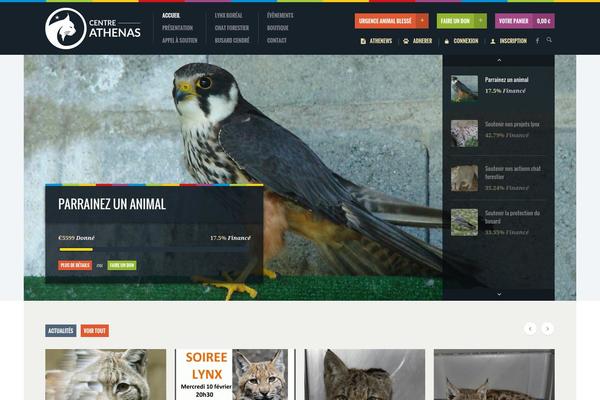 Site using Category-rss-widget-menu plugin